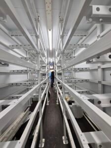 A large agricultural greenhouse complex with transparent roofs is illuminated by artificial lighting. The complex is surrounded by greenery and situated near a cityscape visible in the distant background. The sky is overcast with dark clouds, and there is a faint orange and yellow glow near the horizon suggesting a sunset or sunrise.